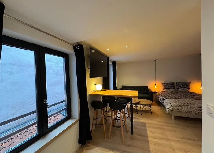 Très Grand Studio - Strasbourg