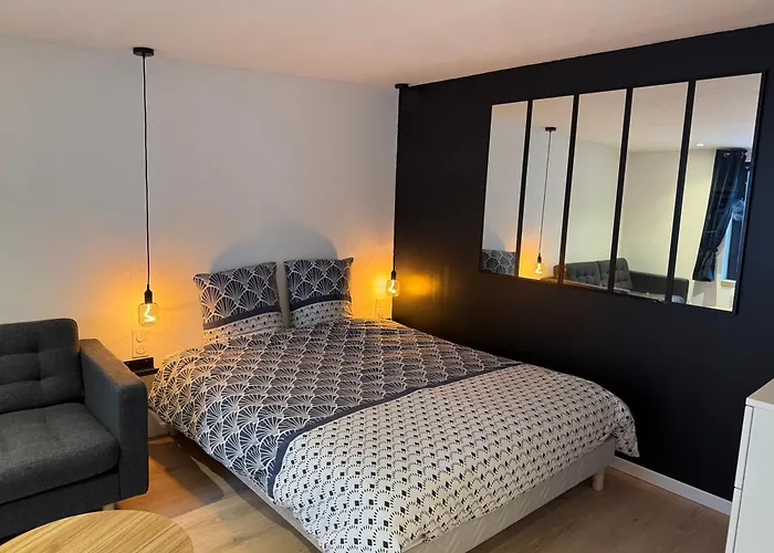 Très Grand Studio - Strasbourg