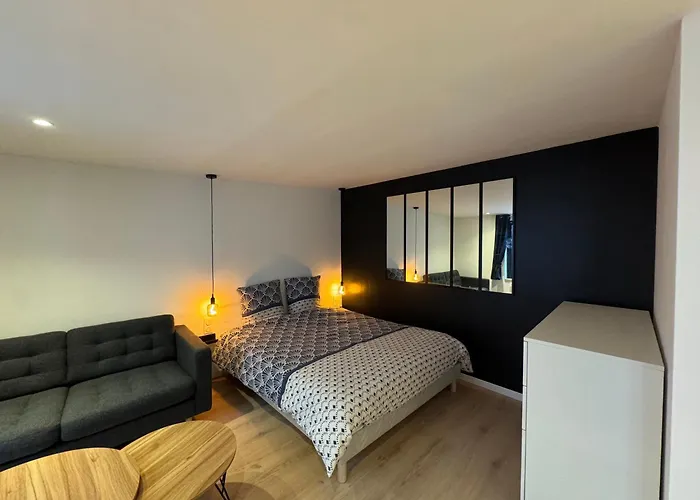 Très Grand Studio - Strasbourg