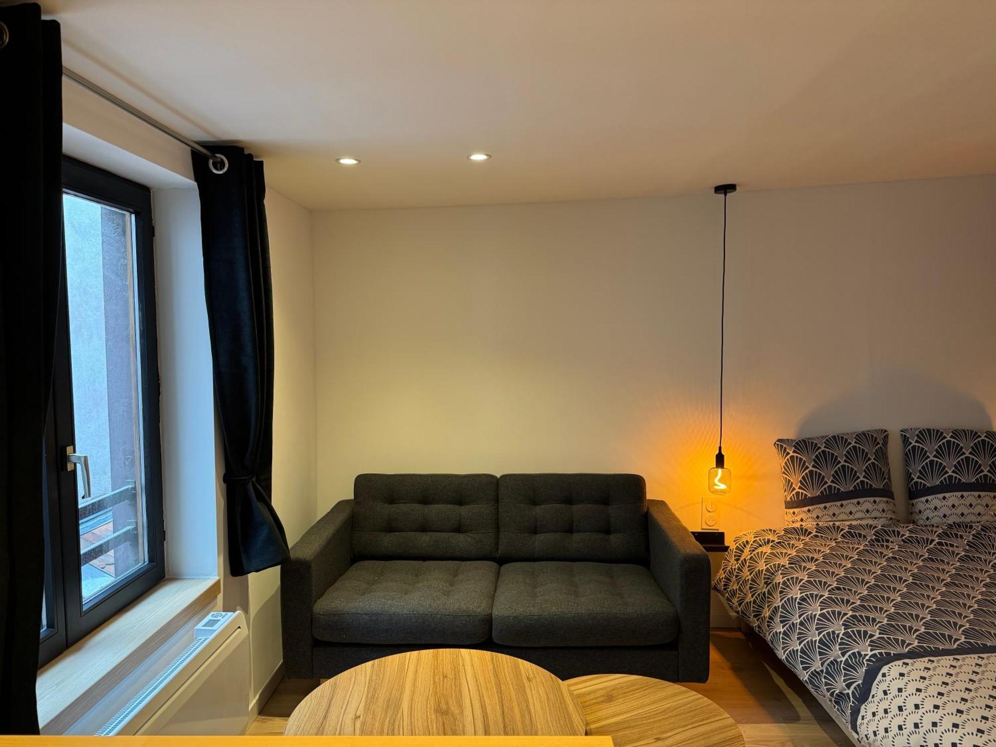 Appartement Très Grand Studio - *